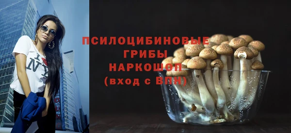 соль ск Кукмор