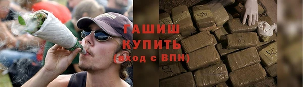 молекула духа Кулебаки