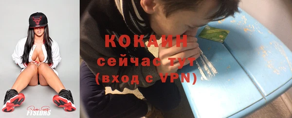 соль ск Кукмор