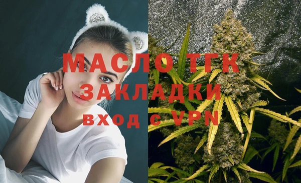 молекула духа Кулебаки