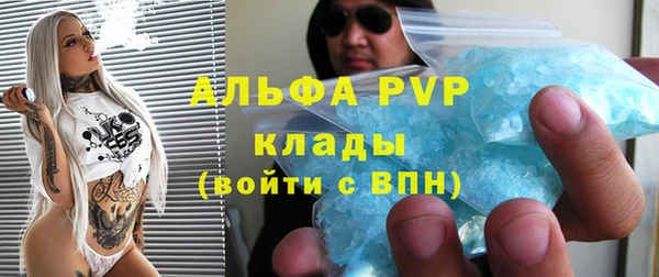соль ск Кукмор