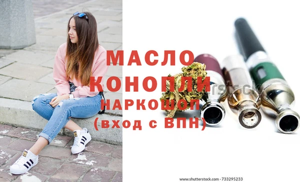 молекула духа Кулебаки