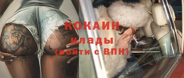 соль ск Кукмор