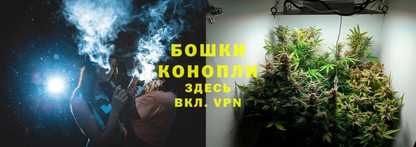 молекула духа Кулебаки